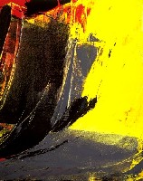 100 x 81