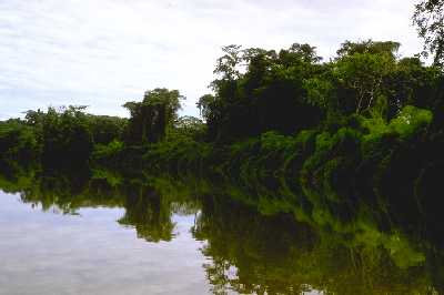 Fleuve