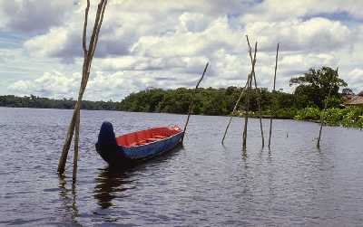 Fleuve