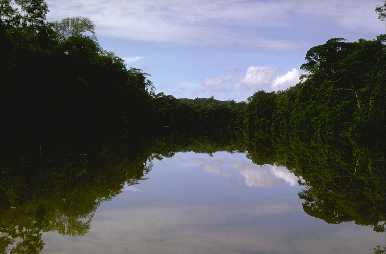 Fleuve